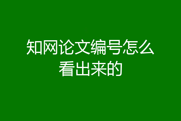 知网论文编号怎么看出来的