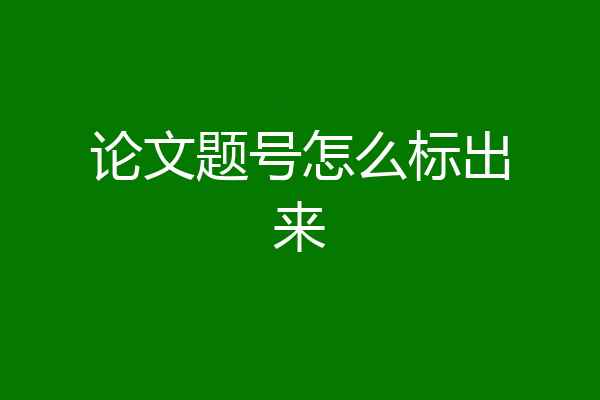 论文题号怎么标出来