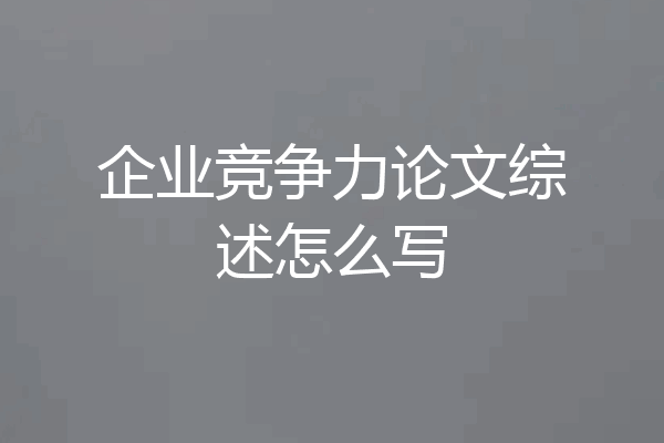 企业竞争力论文综述怎么写