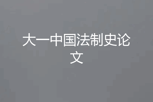 大一中国法制史论文