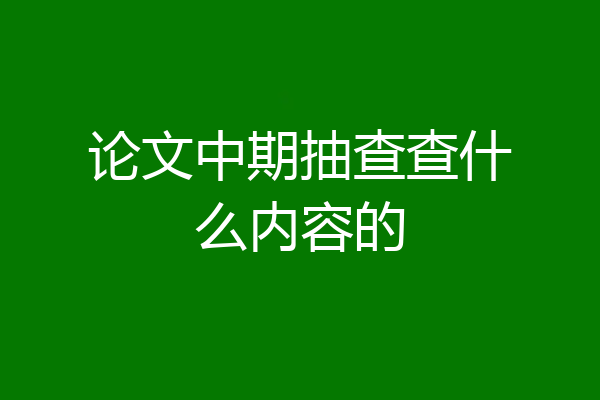 论文中期抽查查什么内容的