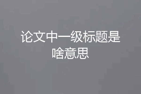 论文中一级标题是啥意思