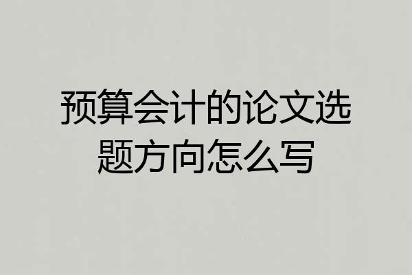 预算会计的论文选题方向怎么写