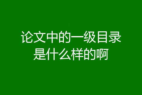 论文中的一级目录是什么样的啊