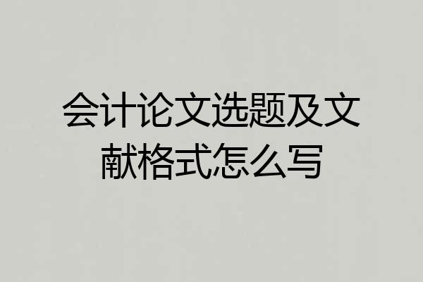 会计论文选题及文献格式怎么写