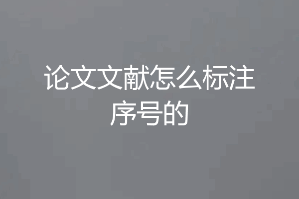 论文文献怎么标注序号的