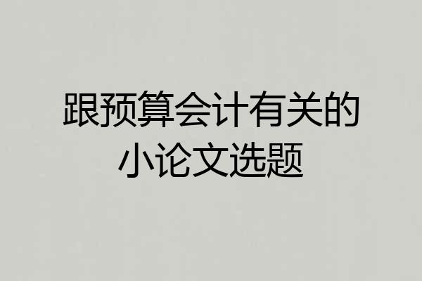 跟预算会计有关的小论文选题