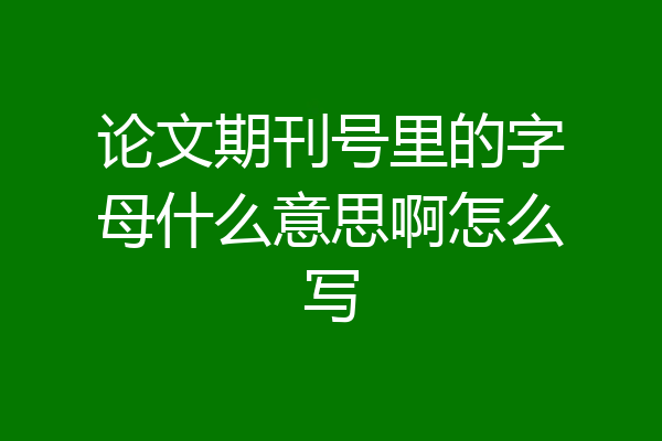 论文期刊号里的字母什么意思啊怎么写
