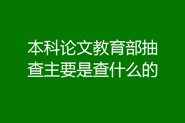 本科论文教育部抽查主要是查什么的