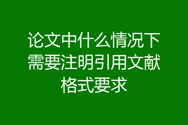 论文中什么情况下需要注明引用文献格式要求