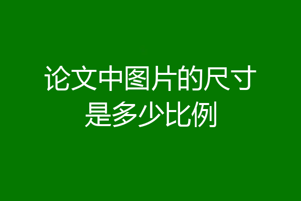 论文中图片的尺寸是多少比例