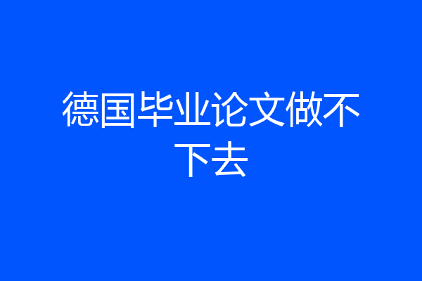 德国毕业论文做不下去