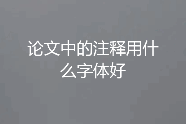 论文中的注释用什么字体好