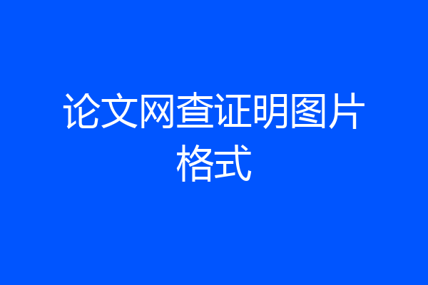 论文网查证明图片格式
