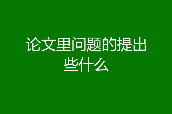 论文里问题的提出些什么
