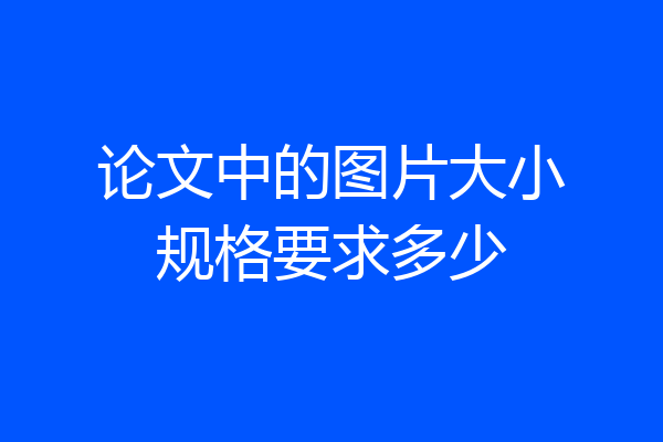 论文中的图片大小规格要求多少