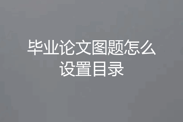 毕业论文图题怎么设置目录