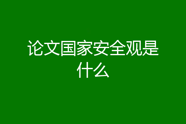 论文国家安全观是什么