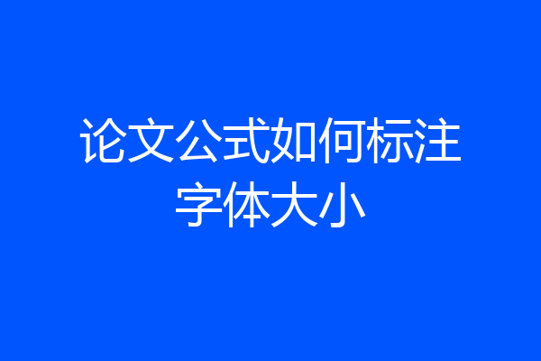 论文公式如何标注字体大小