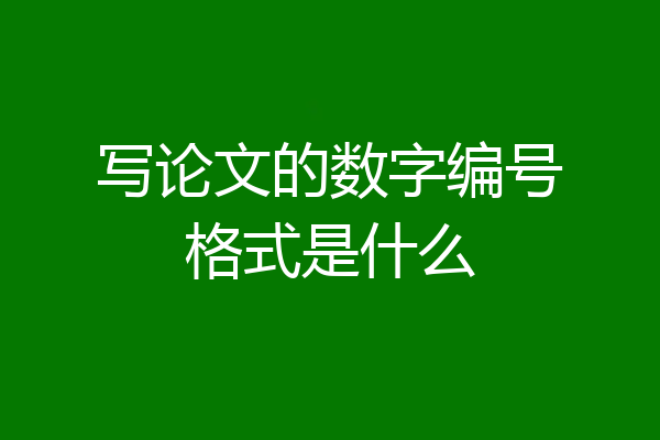 写论文的数字编号格式是什么