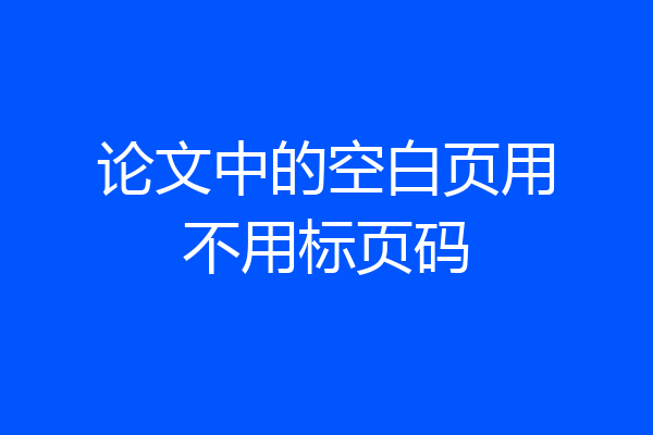 论文中的空白页用不用标页码