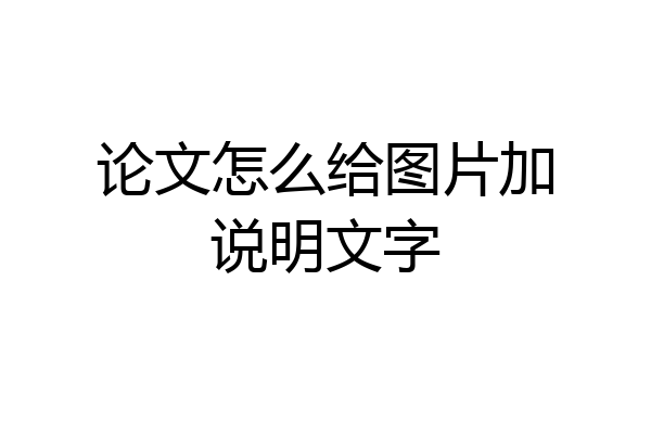 论文怎么给图片加说明文字