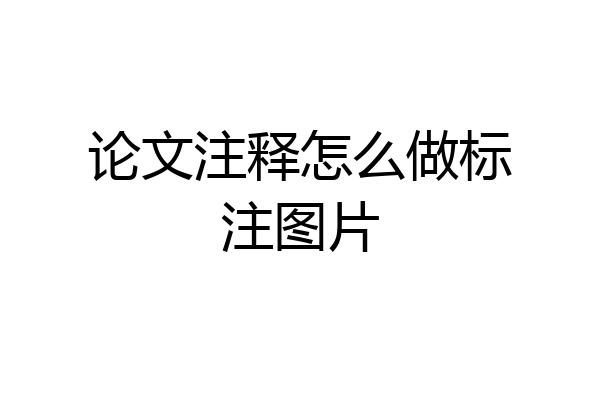 论文注释怎么做标注图片