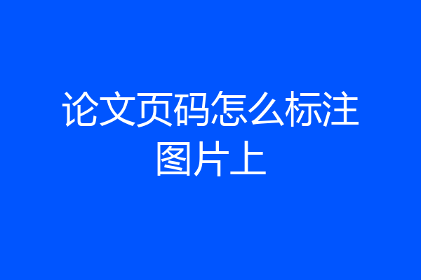 论文页码怎么标注图片上
