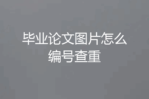 毕业论文图片怎么编号查重