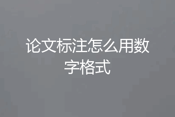 论文标注怎么用数字格式