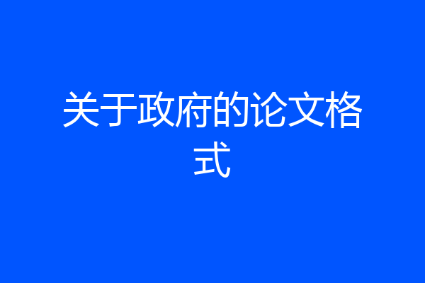 关于政府的论文格式