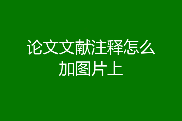 论文文献注释怎么加图片上