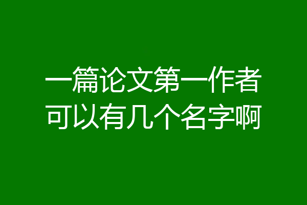 一篇论文第一作者可以有几个名字啊