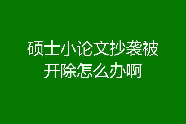 硕士小论文抄袭被开除怎么办啊