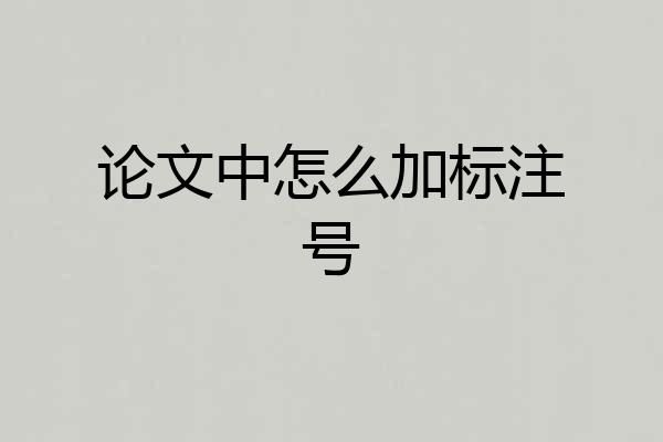论文中怎么加标注号