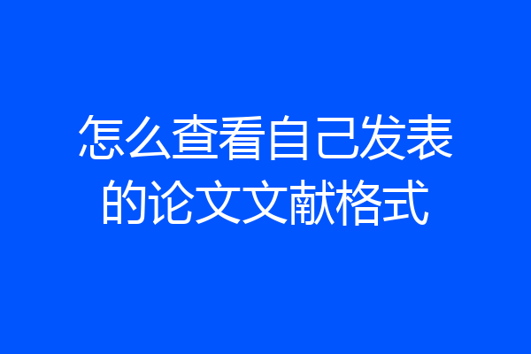 怎么查看自己发表的论文文献格式