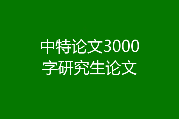 中特论文3000字研究生论文