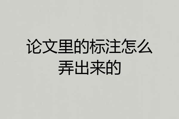 论文里的标注怎么弄出来的