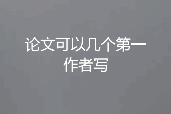 论文可以几个第一作者写
