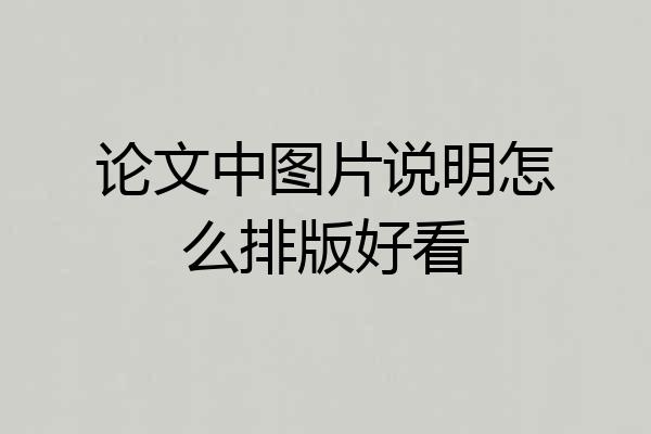论文中图片说明怎么排版好看