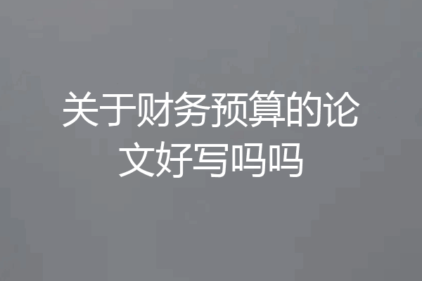 关于财务预算的论文好写吗吗