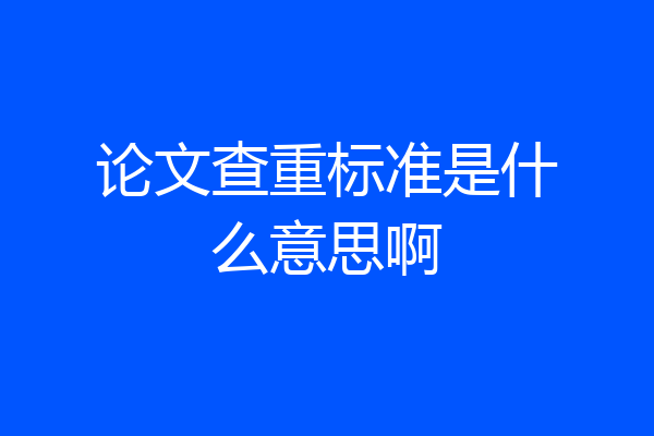 论文查重标准是什么意思啊