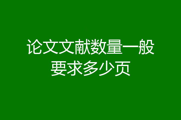论文文献数量一般要求多少页