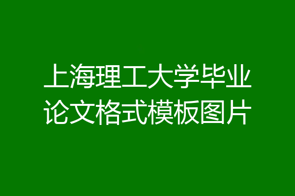 上海理工大学毕业论文格式模板图片