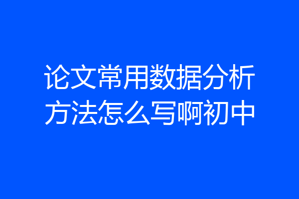 论文常用数据分析方法怎么写啊初中