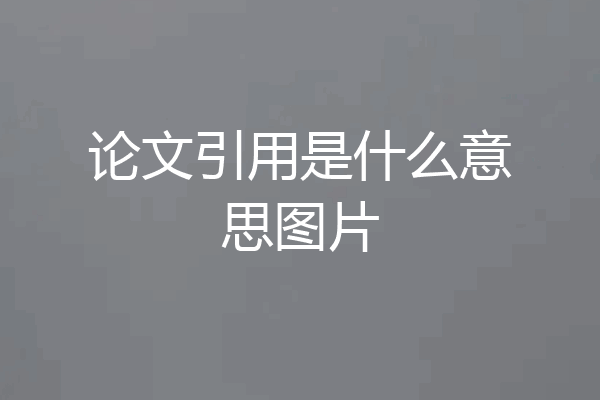 论文引用是什么意思图片