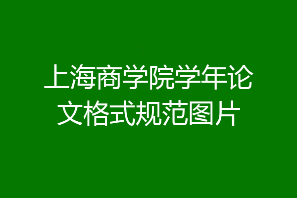 上海商学院学年论文格式规范图片