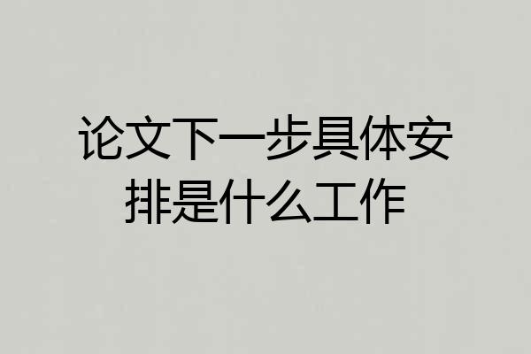 论文下一步具体安排是什么工作