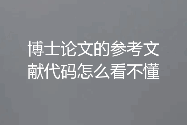 博士论文的参考文献代码怎么看不懂
