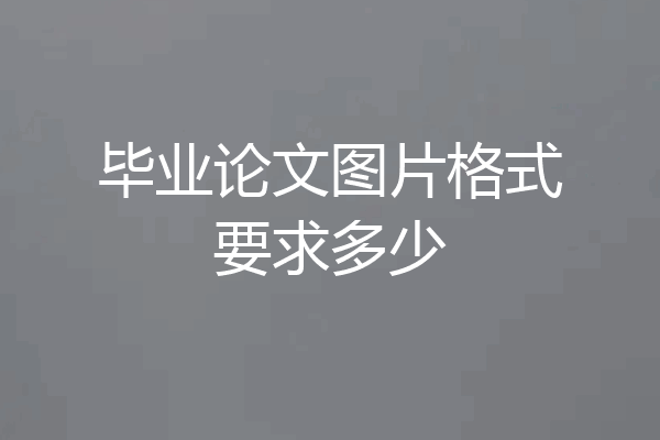 毕业论文图片格式要求多少
